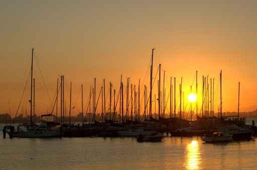 Beautiful Golden Sunrise Wall Decal