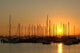 Beautiful Golden Sunrise Wall Decal