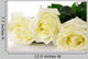 White Roses