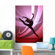 Woman Gymnast Silhouette Wall Mural
