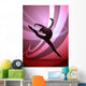 Woman Gymnast Silhouette Wall Mural