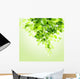 Fresh Green Leaves Vector