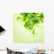 Fresh Green Leaves Vector