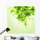 Fresh Green Leaves Vector