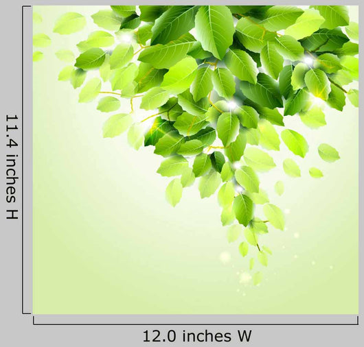 Fresh Green Leaves Vector