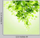 Fresh Green Leaves Vector