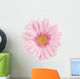 Pink Gerbera Flower