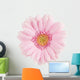 Pink Gerbera Flower