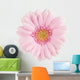 Pink Gerbera Flower