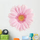 Pink Gerbera Flower
