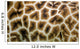 giraffe skin Wall Mural