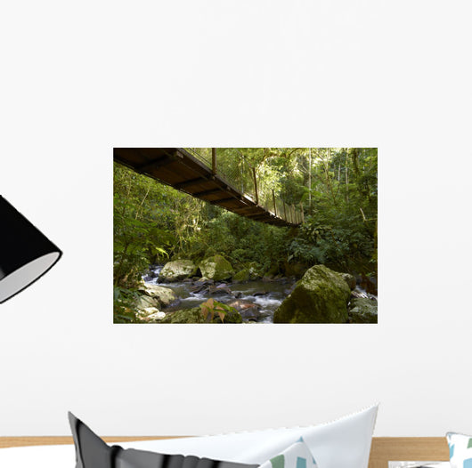 Suspension bridge in the rain forest Wall Mural