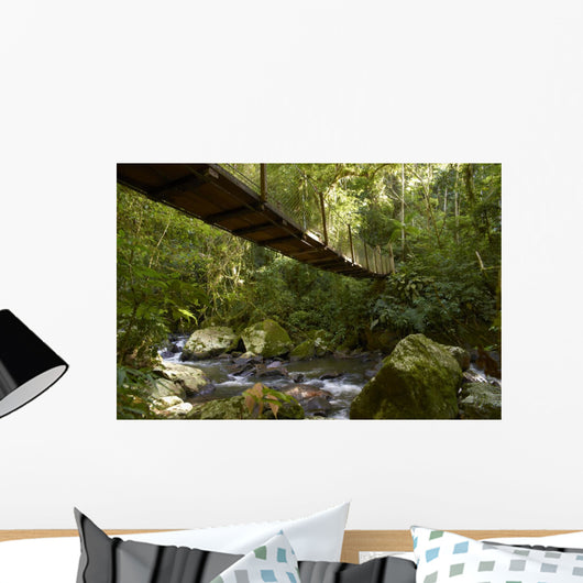Suspension bridge in the rain forest Wall Mural