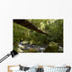 Suspension bridge in the rain forest Wall Mural