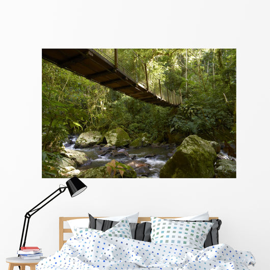 Suspension bridge in the rain forest Wall Mural