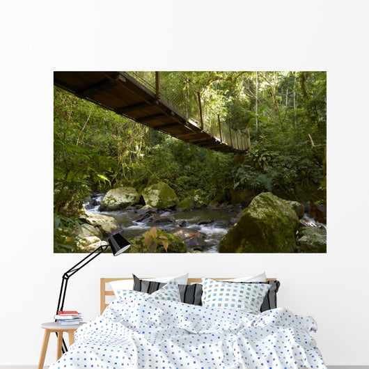 Suspension bridge in the rain forest Wall Mural