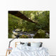 Suspension bridge in the rain forest Wall Mural