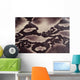 Snakeskin Wall Decal