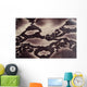 Snakeskin Wall Decal