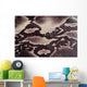 Snakeskin Wall Decal
