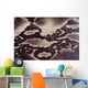 Snakeskin Wall Decal