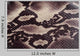 Snakeskin Wall Decal