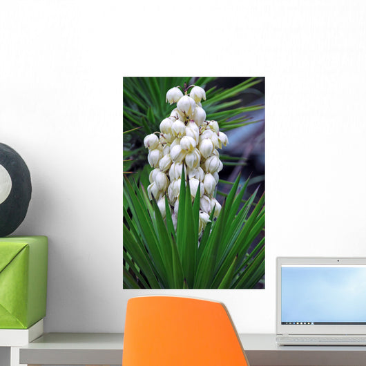 Yucca baccata Flower Wall Mural