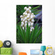 Yucca baccata Flower Wall Mural