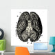 Cerveau Human