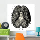 Cerveau Human