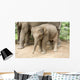 Baby Elephant Wall Decal