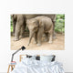 Baby Elephant Wall Decal