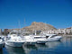 Alicante Harbor Wall Decal