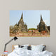 Site Ayutthaya Wall Mural
