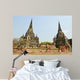 Site Ayutthaya Wall Mural