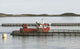 Sea Farm Wall Decal