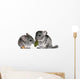 pair of young chinchillas with a dry leaf from a tree. Wall Decal