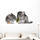 pair of young chinchillas with a dry leaf from a tree. Wall Decal
