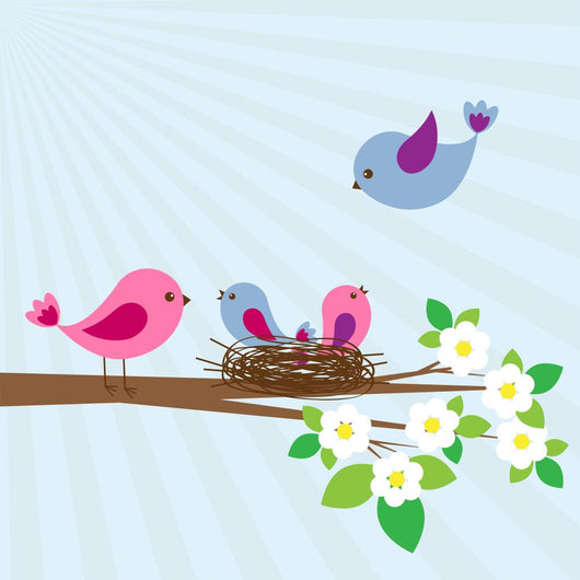 Family Birds