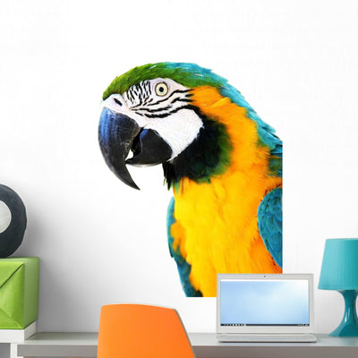 Parrot shown on a wall