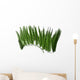 Acetebularia Wall Decal