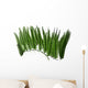 Acetebularia Wall Decal
