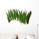 Acetebularia Wall Decal