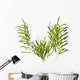 Kelp Wall Decal