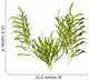 Kelp Wall Decal