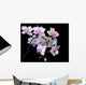 White Orchid