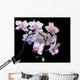 White Orchid