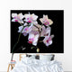 White Orchid