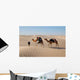 Camel Caravan Desert Sahara Wall Decal