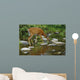 Whitetail Deer Doe Drinking From Creek Wall Mural